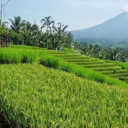 Zen Rooms Badung Nyangnyang Sari Kuta Lombok Exteriér fotografie